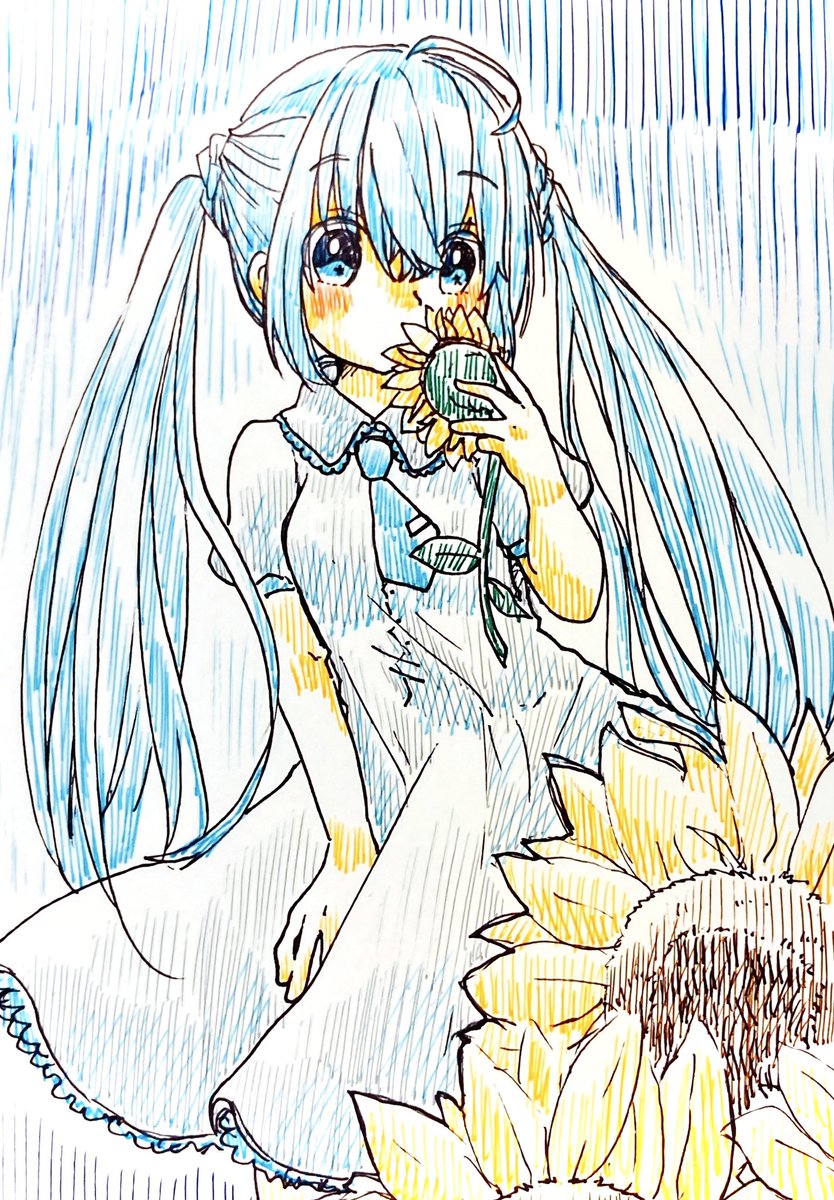 初音ミク 「ひまわりとミクさん 」|さくま@求V1MEIKOパケアクのイラスト