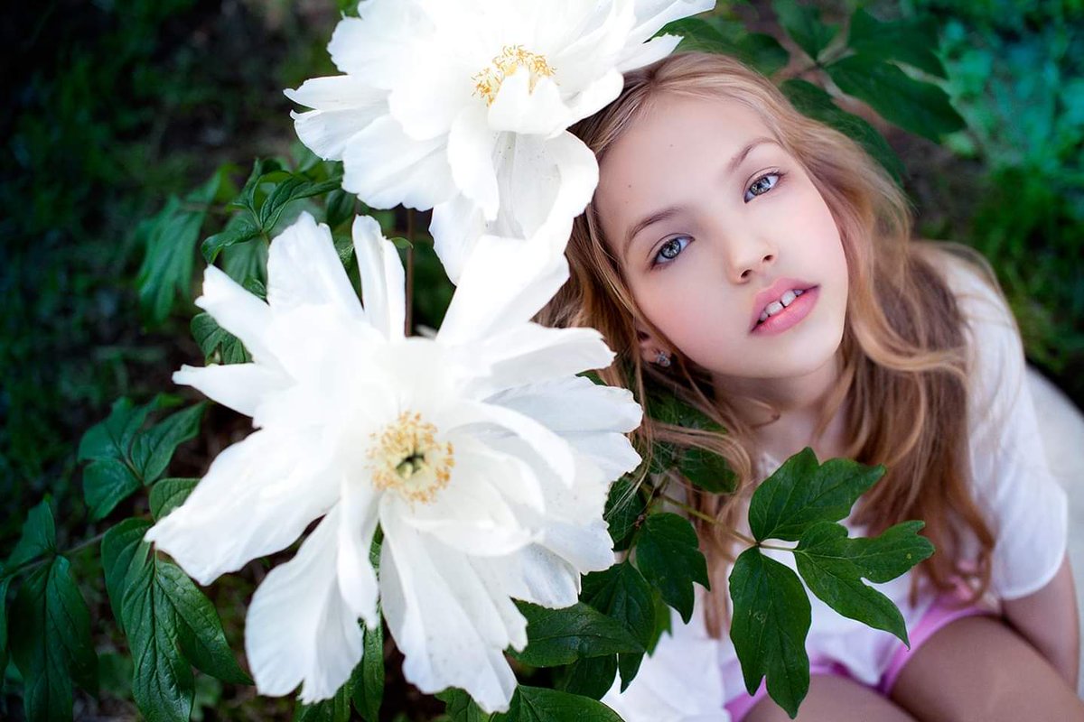 LostOneChloe's tweet image. *looks up at the flowers*