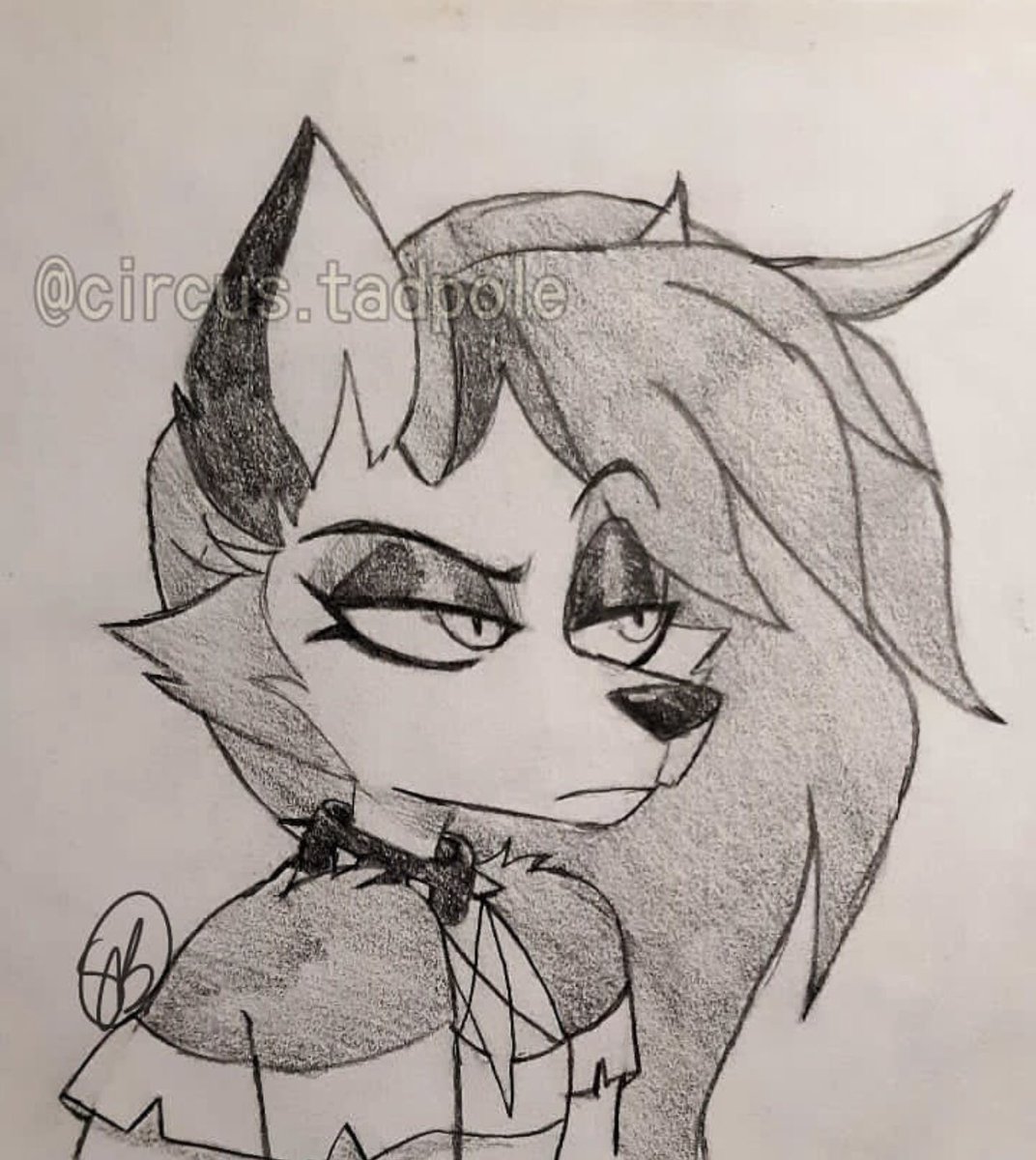 candy__carcass's tweet photo. 💜🌙Loony moony//loony-bin🩸🧨
#helluvaboss #helluvabossart #helluvabossfanart #helluvabossvizziepop #helluvabossloona #helluvabossloonaart #helluvabossloonafanart #helluvabossloonadrawing #loonahelluvaboss #vizziepop #loonafanart #helluvabossdrawing https://t.co/ixXMSAqcMt