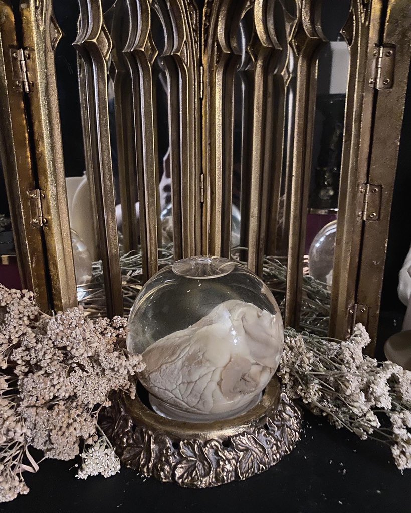 Thebitchwitch_'s tweet photo. Look at this beauty😍✨ https://t.co/40NuXd9AA5