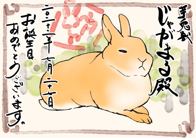 @jyagamaru_usagi じゃがまる殿🥔出遅れましたがお誕生日おめでとうございます🎉🎉🎉これからも元気で過ごせますように🐇🥔 