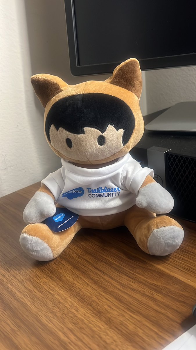 fixmysparkles's tweet photo. I had great company this evening during my online exam. #SFBA  #Salesforce #passed #Ohana #Trailblazers https://t.co/EN2qQ4SNrO