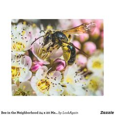 LowellMcnamara's tweet photo. https://t.co/8nitAZL8l4 #LookAgain #LookAgainPhotography #MetalPrints #photography #OriginalPhotography #Zazzle #DanielMcNamara #Gifts #Giftideas https://t.co/6fGi2rHKyD
