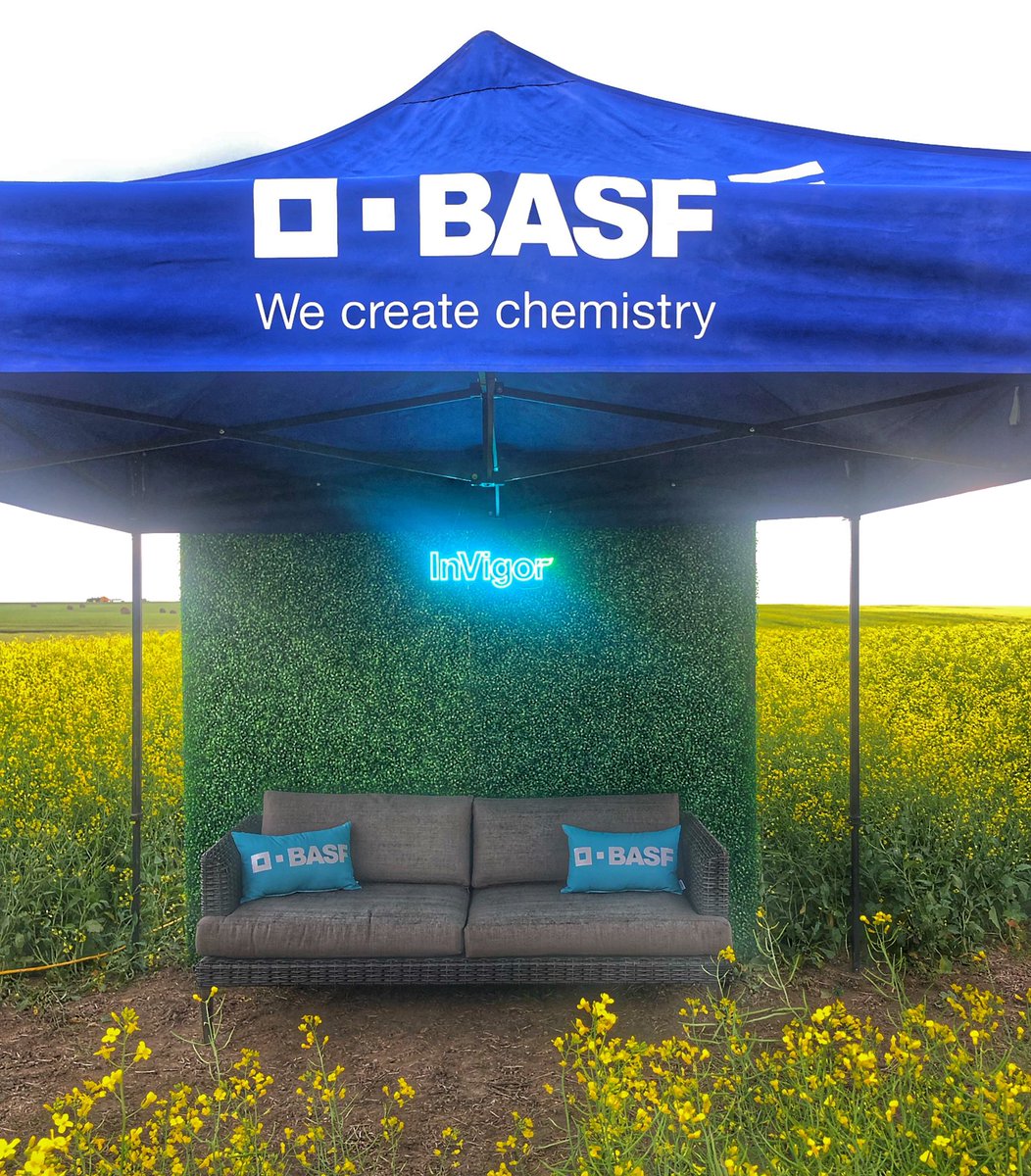 Kelli Burnett tweet media