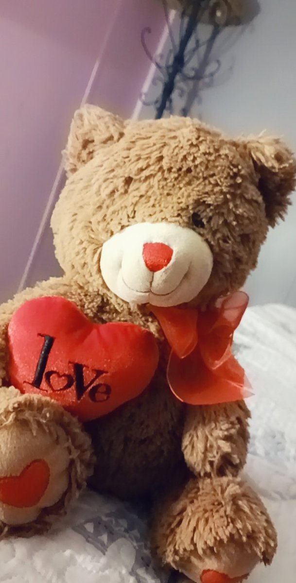 s1ut_Ana's tweet photo. Stuffie cheek show me picture of the stuffie closet too u rnn https://t.co/WG8A8jkwvK