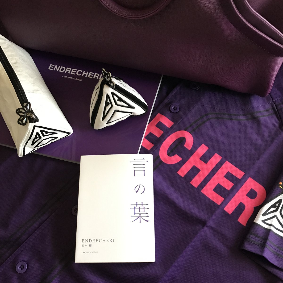 ENDRECHERI 堂本剛 20周年記念グッズ