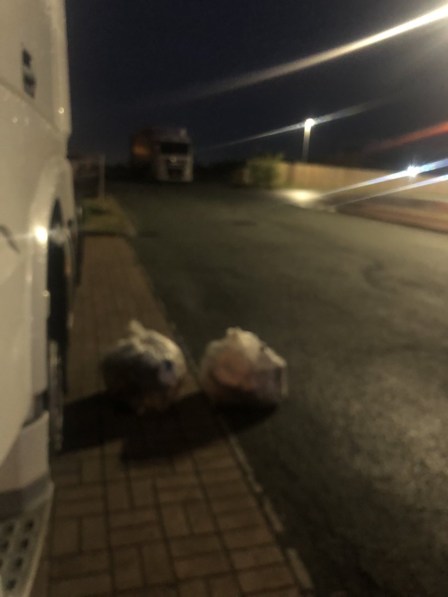 neilsta84's tweet photo. #eggroup #eurogarages #knowlsey #liverpool #litterpick #litter #rubbish #shelluk #truckerscleanupbritain Bins all around yet still rubbish of all sorts about π‘π‘ 2 bags filled . I would like to continue to park here so letβs keep it tidy ππππ https://t.co/kKEglxbqog