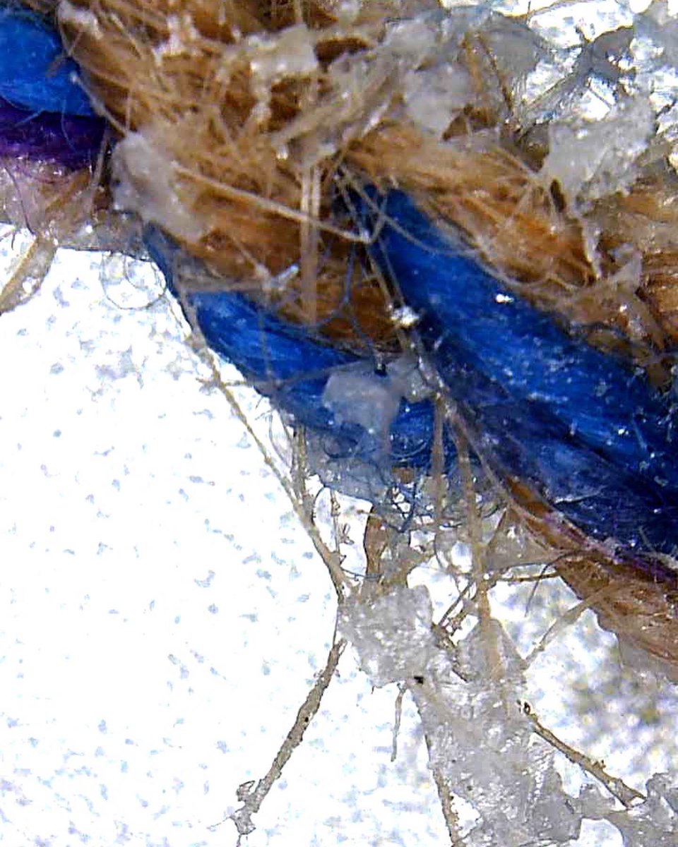 ThreadandWord's tweet photo. The power of nature to transform! Salt crystals on a rope threaded through a hagstone. Looking forward to sharing @ForumCt5 #Port Whitstable August SALT @artwalkporty September ! Crystals made by the sun on a hot day last week #walking #weavingstories #threadandword #tankerton https://t.co/5J4FeiOszu