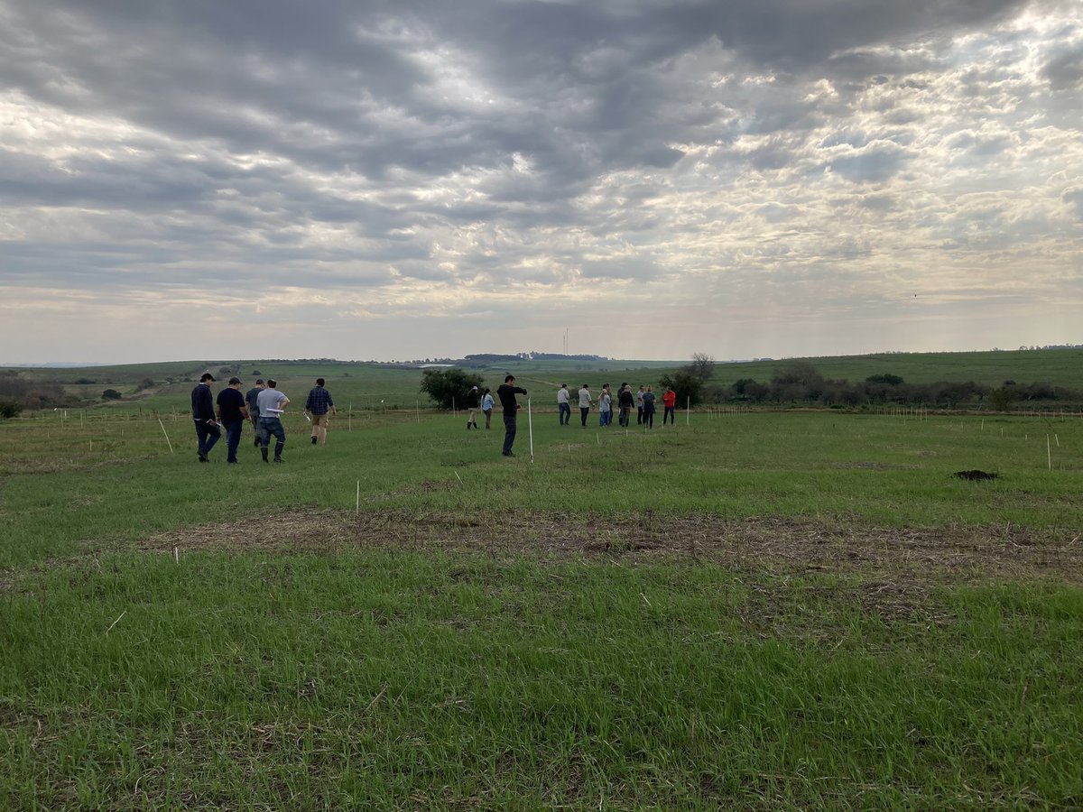 AnaErrazquin's tweet photo. Hoy finaliza la gira por campos uruguayos de la mano de @Bayer4CropsAR Gracias a @diegolluberas y a @alexisg_1313 por recibirnos!! https://t.co/lDUQvF7dMu
