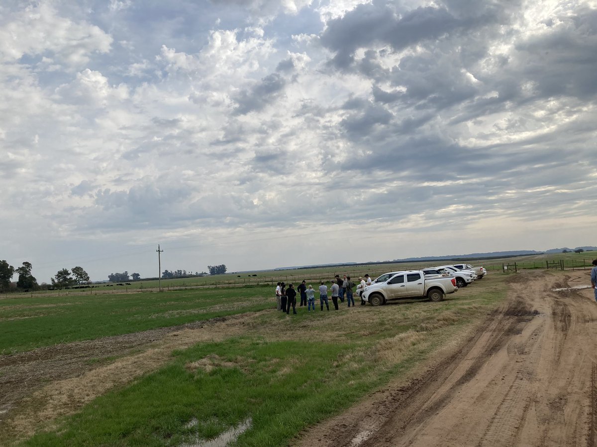 AnaErrazquin's tweet photo. Hoy finaliza la gira por campos uruguayos de la mano de @Bayer4CropsAR Gracias a @diegolluberas y a @alexisg_1313 por recibirnos!! https://t.co/lDUQvF7dMu