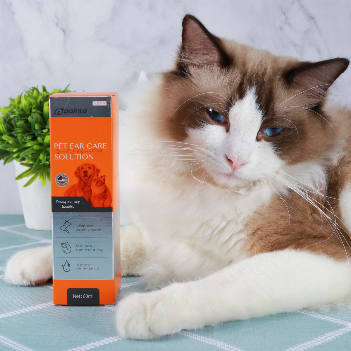 PuaintaPets's tweet photo. 🧐Clean, healthy dog ears are pink, odorless, debris-free, and not inflamed. If you get a whiff of a mild odor, spot some discharge, or notice that your pup is shaking his or her head more than usual, a cleaning is likely in order.👂 #cats  #CatsofTwittter #CatsOnTwitter https://t.co/landqaTBkJ