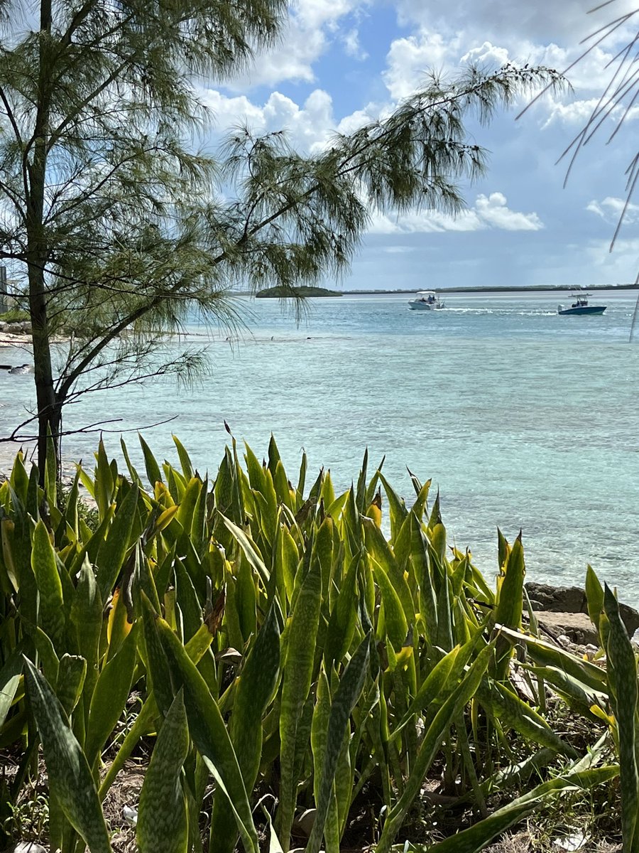 deesegang's tweet photo. I want to go back!! https://t.co/if7wMNWtBe