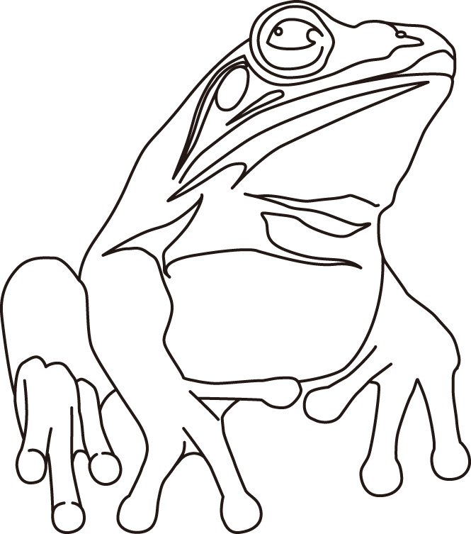 カエルのイラスト のイラスト マンガ コスプレ モデル作品 23 件 Twoucan