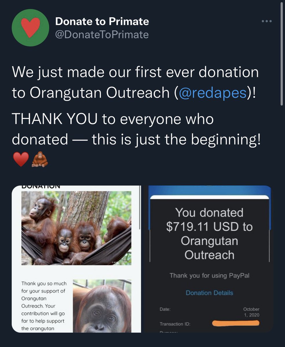 afool4apes's tweet image. 