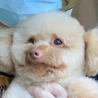 mgccams's tweet photo. #NewProfilePic https://t.co/Etrtf2rp3n