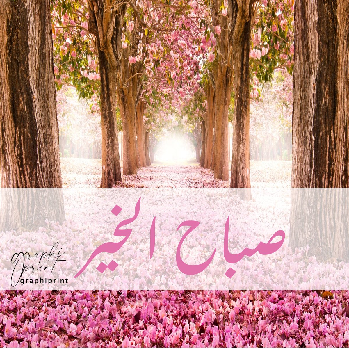 graphiprint's tweet image. #رساله_اليوم الإيجابيه والتفاؤل #تفاءل 
#ابتسم
#الكلمة_الطيبة
افشوا #السلام بينكم
اماطة الاذى عن الطريق #صدقة 
#صباح_الخير_والسعاده 
 #صباح_الخير_يا_عرب 

#صباح_الخير