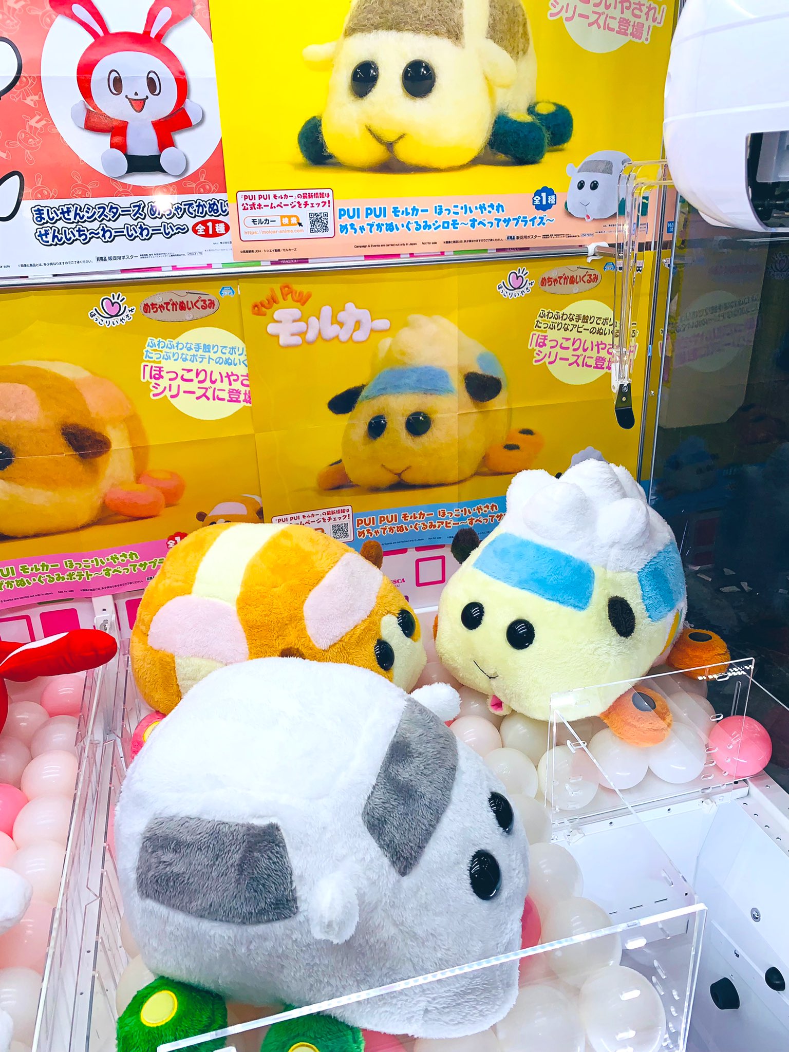 モルカー ほっこりいやされでっかいぬいぐるみ テディ シロモ ポテト 4