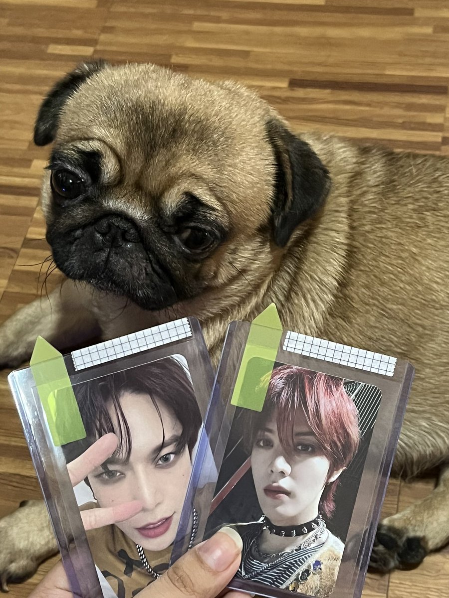 d0yudonut's tweet photo. thank u @lunastarmerch 🥹🫶

#LSMProof

+ peanut na sad gorl https://t.co/1Q2G9b1loa