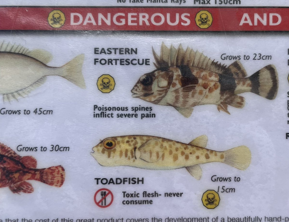 mr_gilmour's tweet photo. When I was out fishing earlier (yeah look at me all masc) on the list of fish were 2 Rebecchi’s #Toadie #Stonie #CelebratingNeighbours #Neighbours https://t.co/uKrhk4VPe3
