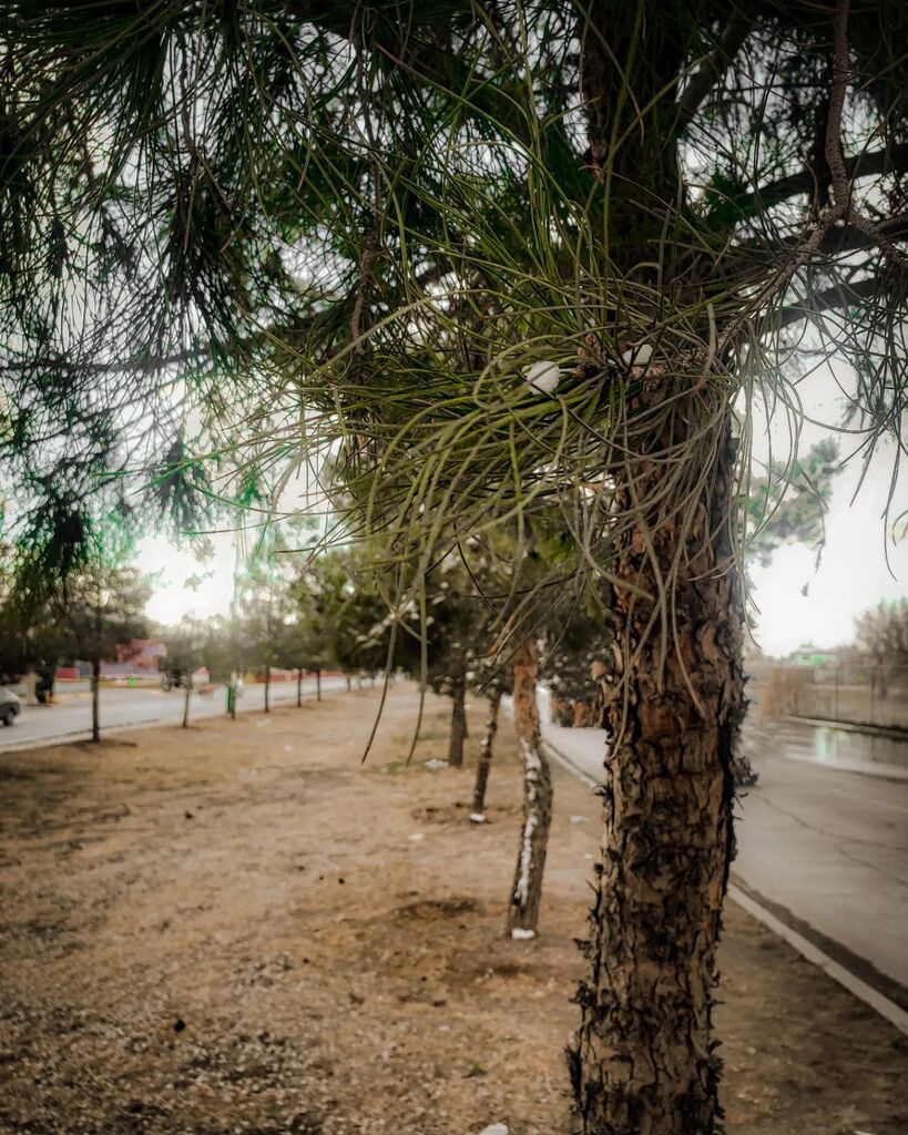 metaljolmon's tweet photo. I want to be part of #teampixel #photography #shotonsamsung #fotografia #hellomoto #cdj #clickOgraphyy #beautiful #naturephotography #mobilephotography #mexico #samsungnote9 #samsung #motorolasquad https://t.co/9HWQmblUU4 https://t.co/GH73jweXch