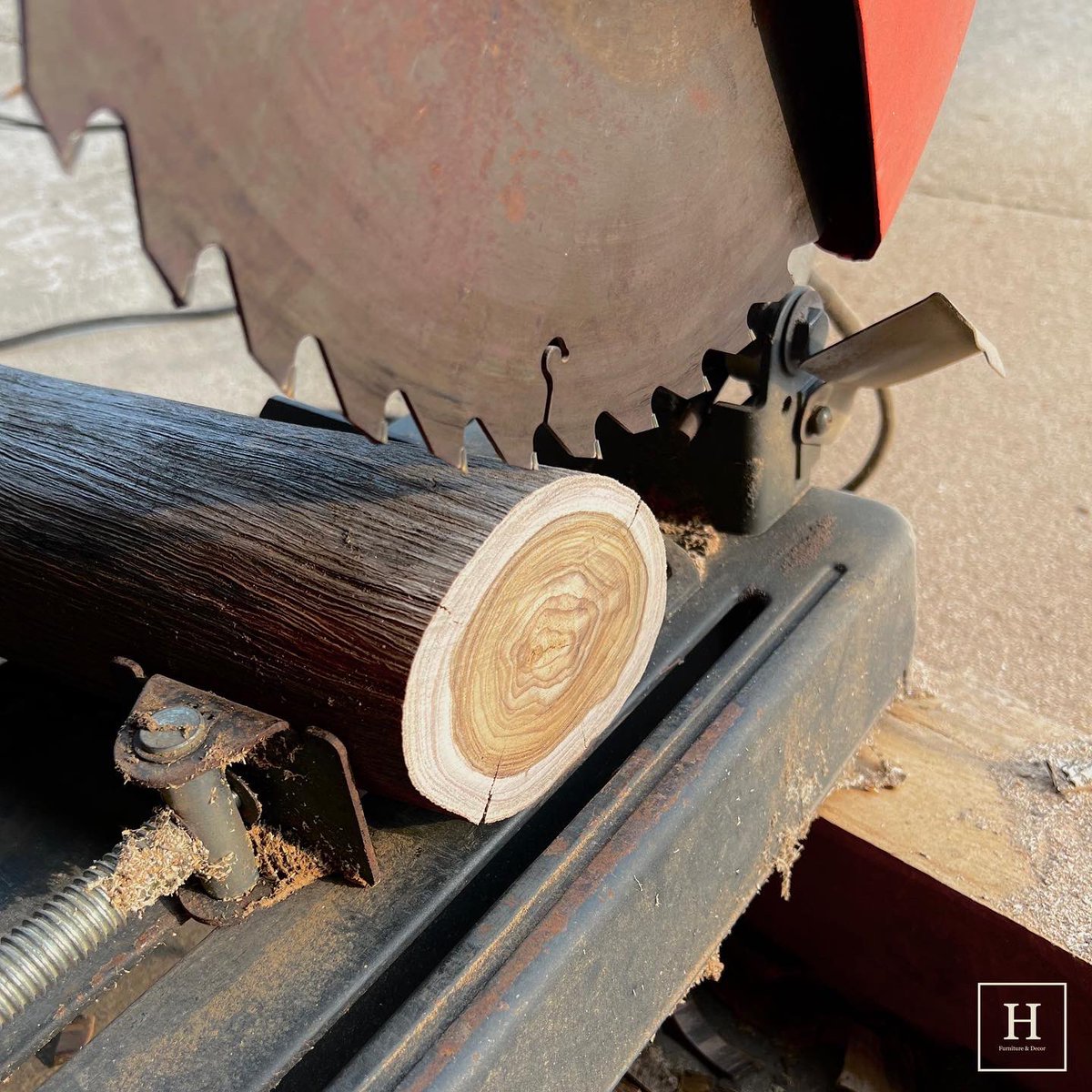 FurnitureDecorH's tweet photo. From planted forest to the table 🪵🌳
good absorb water, easy to use and non toxic.
living life and nature 🪴
#woodworking #woodgift #handcraft #woodware #handmade #homeuse #tableware #woodtableware #teakcoaster #coaster https://t.co/7oleGAlnHy