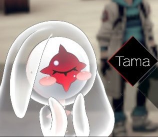 'Ryuki should put on cat ears.'