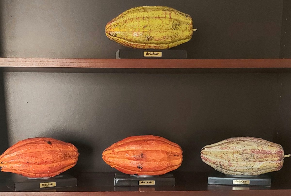 Pascal H. Grégoire (@ph_gregoire) on Twitter photo #BehindTheScenes if this is not a sign #cocoa beans...
personnal office #Riyadh #KSA 🇧🇪Belgian #Chocolate 🍫
<a href="/CocoaChocProf/">Koen Dewettinck</a> <a href="/BarryCallebaut/">Barry Callebaut Group</a> <a href="/PuratosGroup/">Puratos Group</a> <a href="/IntlCocoaOrg/">International Cocoa Organization (ICCO)</a> <a href="/belgiumabidjan/">Ambassadrice Carole van Eyll 🇧🇪</a> #BehindTheScenes if this is not a sign #cocoa beans...
personnal office #Riyadh #KSA 🇧🇪Belgian #Chocolate 🍫
<a href="/CocoaChocProf/">Koen Dewettinck</a> <a href="/BarryCallebaut/">Barry Callebaut Group</a> <a href="/PuratosGroup/">Puratos Group</a> <a href="/IntlCocoaOrg/">International Cocoa Organization (ICCO)</a> <a href="/belgiumabidjan/">Ambassadrice Carole van Eyll 🇧🇪</a>
