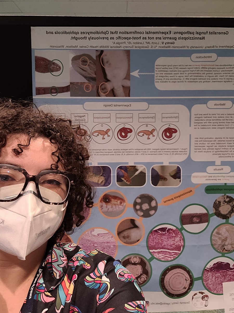MycoZoo's tweet photo. Wild and amazing way to start off a conference! Already met a lot of really cool people 🤟🏽🐍🦎🐟
#JMIH2022
#cladojams https://t.co/AA5QlvM3Mq