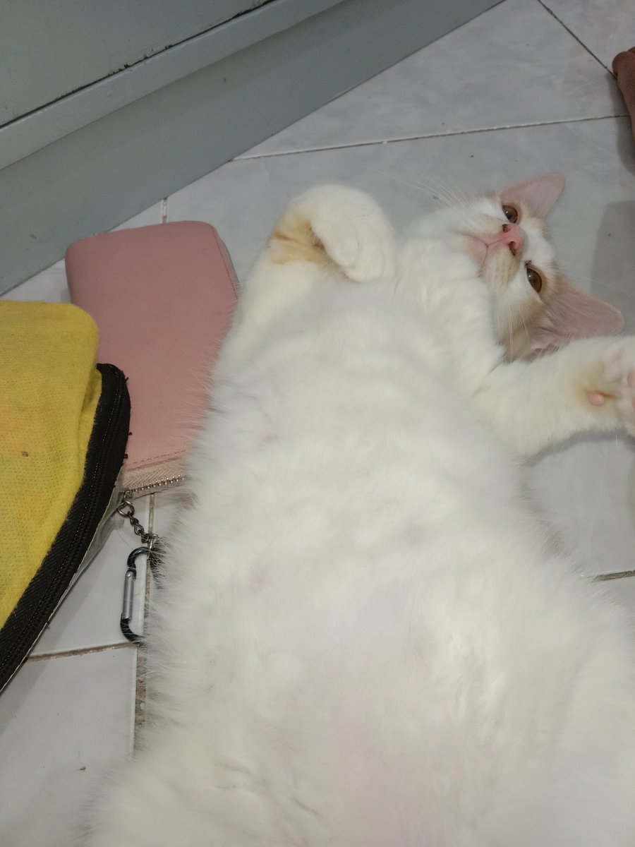 Yanitri19's tweet photo. Oyen https://t.co/Qh0azrdZI3