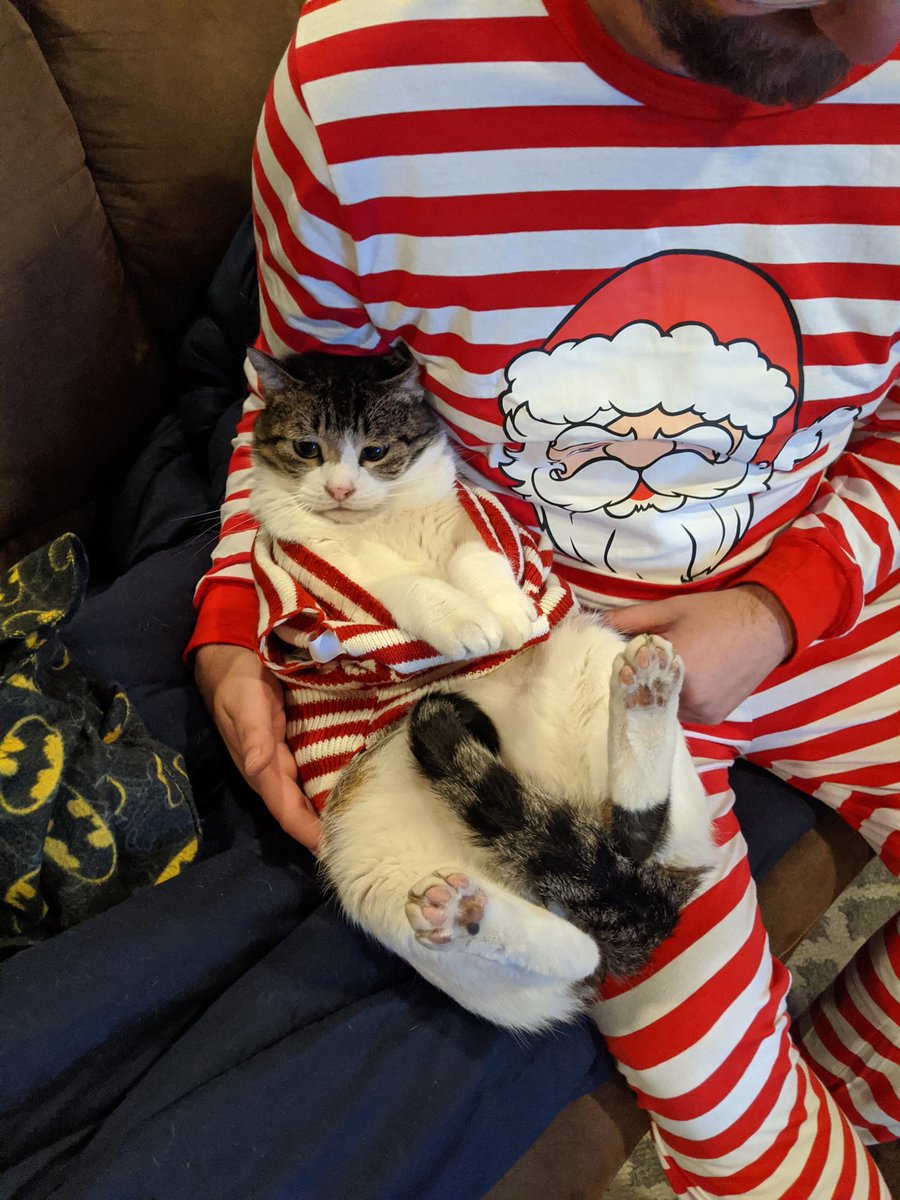 Mu_warrior tweet media