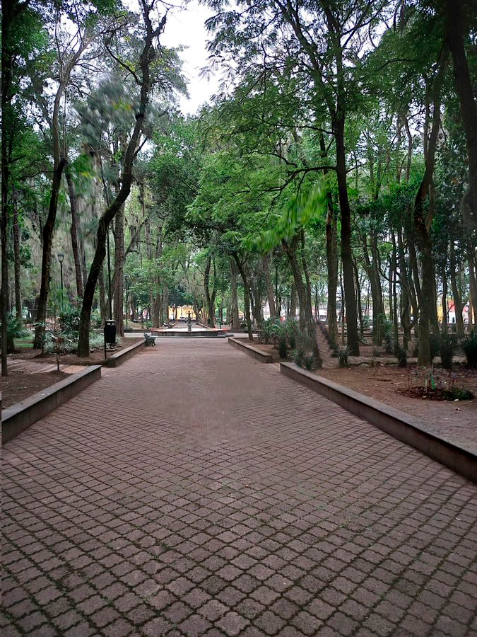 Migoos🌩️ tweet media