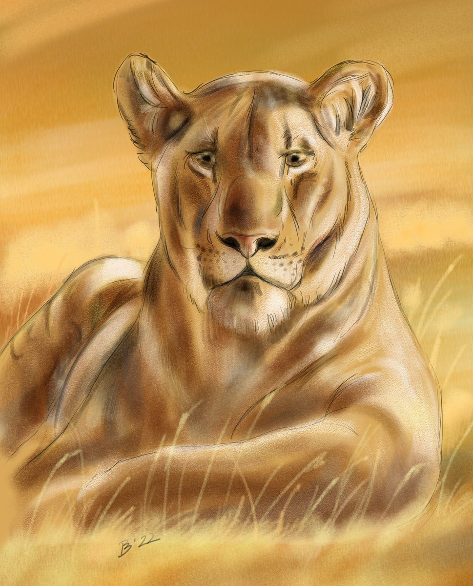 Weer eens uren kunnen besteden aan een nieuw digitaal werk. In plaats van Photoshop heb ik me eens verdiept in een ander software pakket 'Krita'. Mooie opties en penselen. Ik ga er zeker mee verder… #krita #Wacom #cintiq #illustratie #illustration