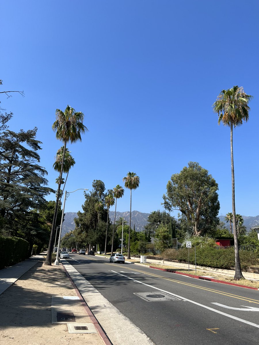 SolWombatNFTs's tweet photo. Now we are in LA to visit #NFTExpoverse on July 29 and 30. Let’s talk if we have a chance. https://t.co/lTeXIwIvTv