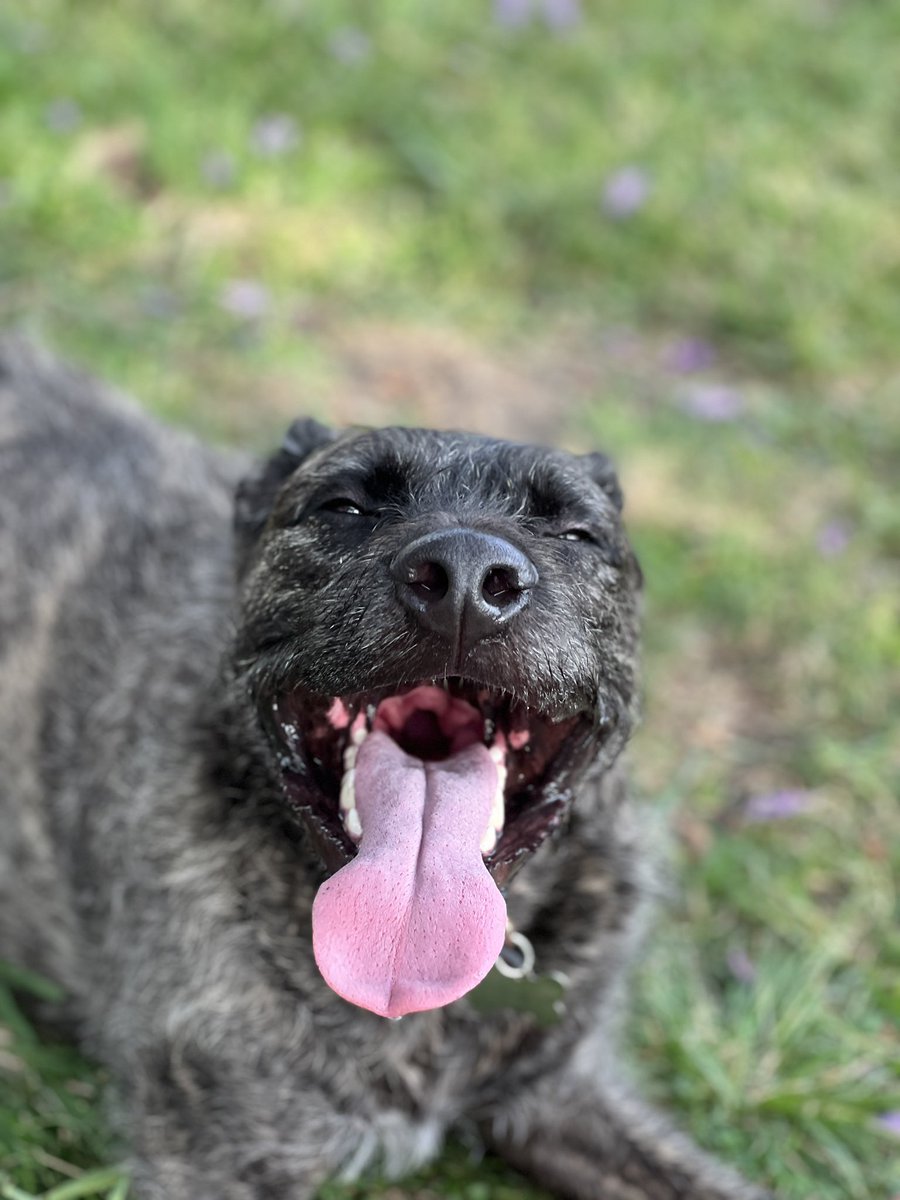 Drew Walkup tweet media