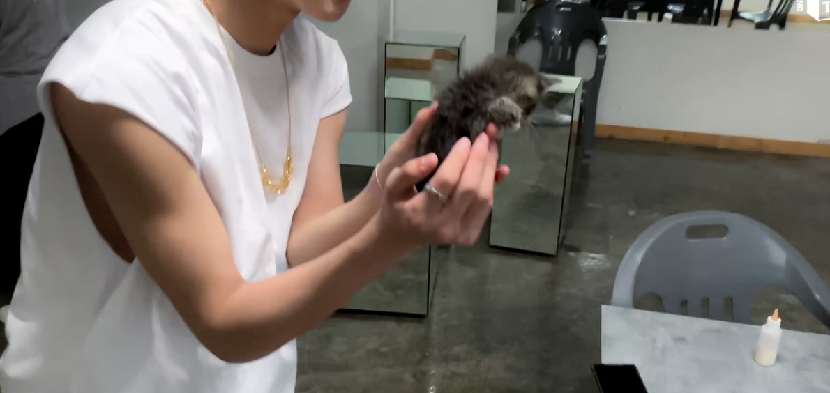jungwon feed tweet media