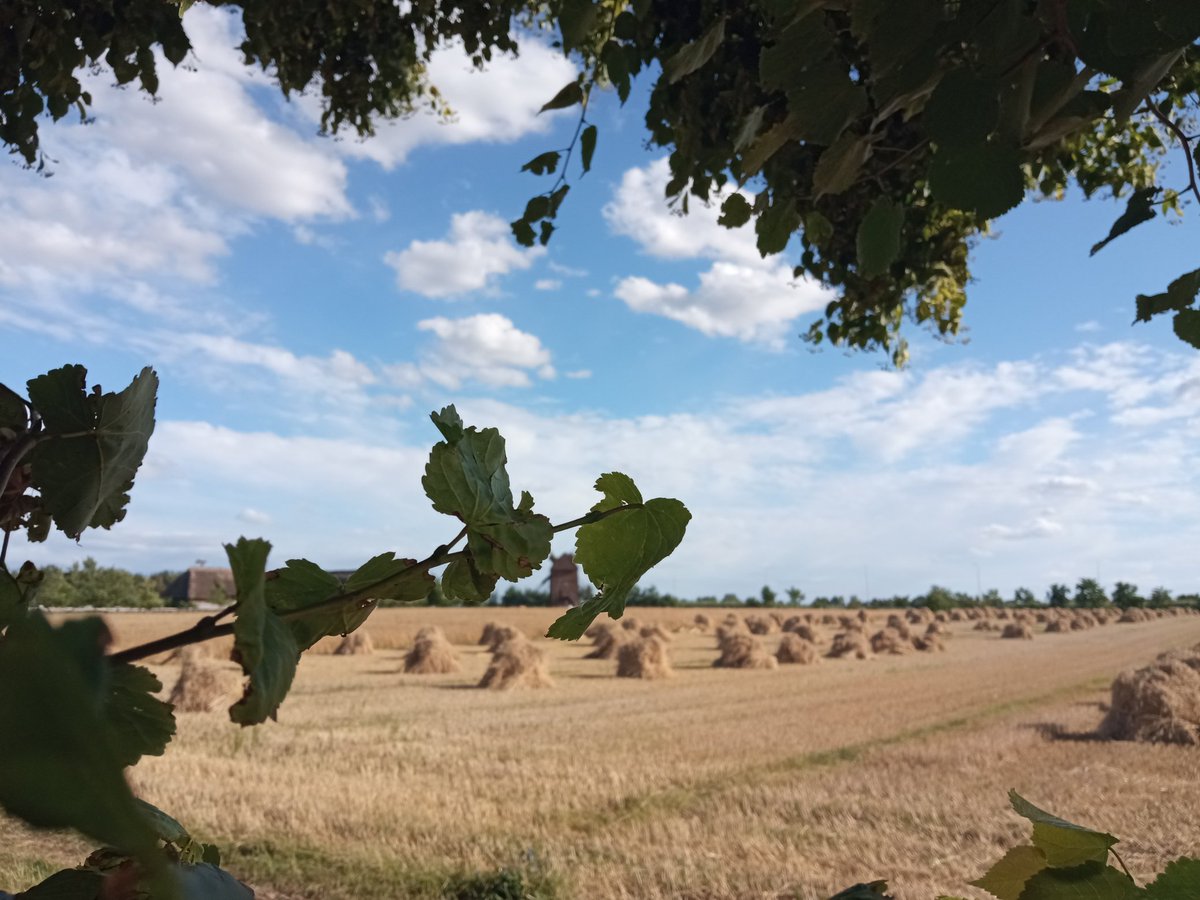 MarcinZenko's tweet image. Cisza i spokój wewnętrzny jestem na spacerku😇😇😇😇