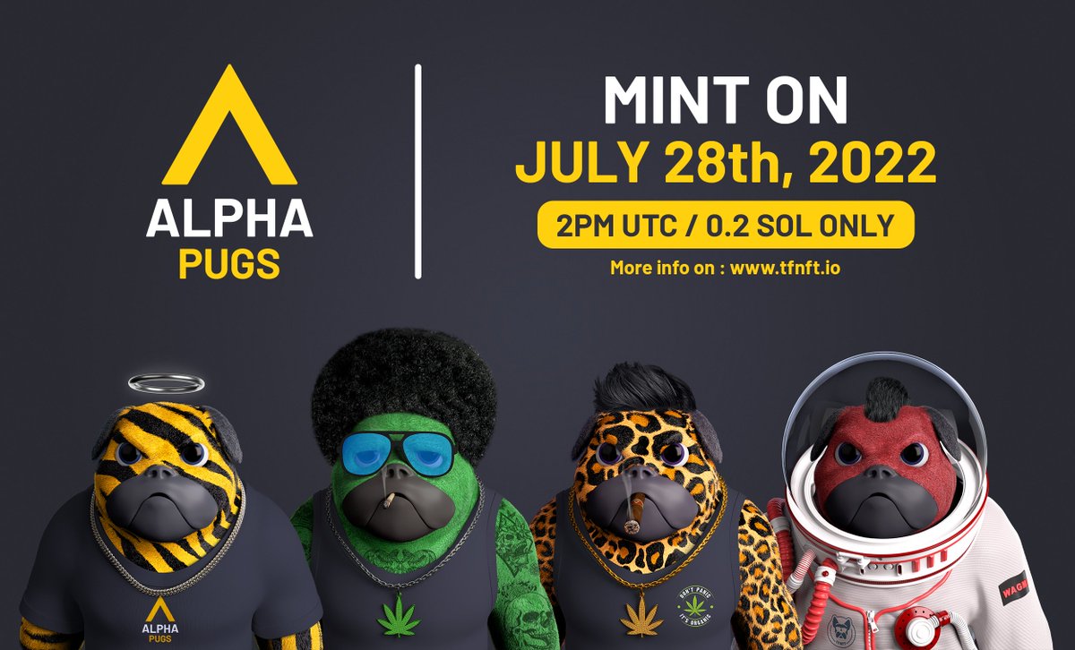 H-8 before our AlphaPugs public mint!🐶

alphapugsmint.netlify.app
Amazing 3D Art 🔥
0.2 SOL only! 👀

To celebrate our sale, we will give away 50 FREE MINT! 🥳 
➡️ LIKE and RT this tweet to get a chance to WIN 🎉

#SolanaNFT #NFTCommunity #AlphaPugs