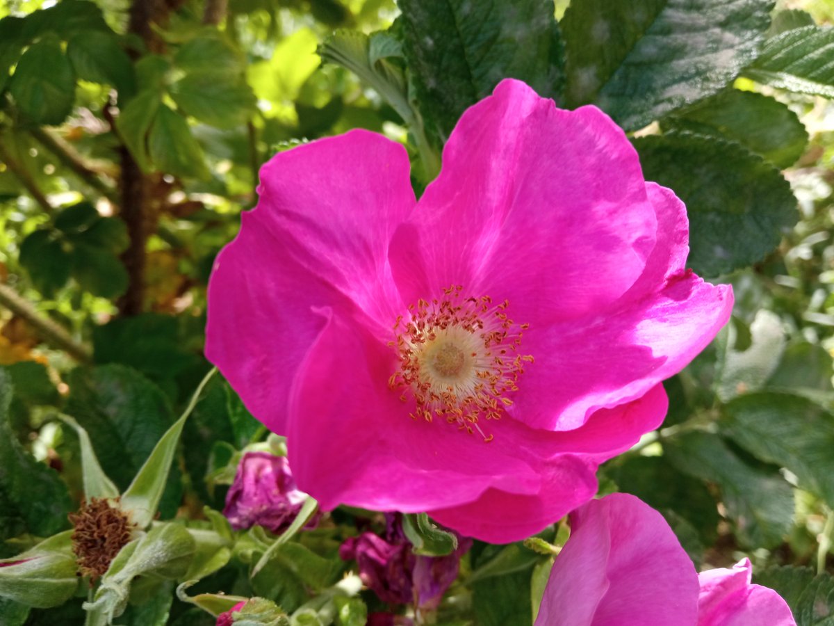 MarcinZenko's tweet image. Siostry widzą oczy kwiatów 😇😇😇