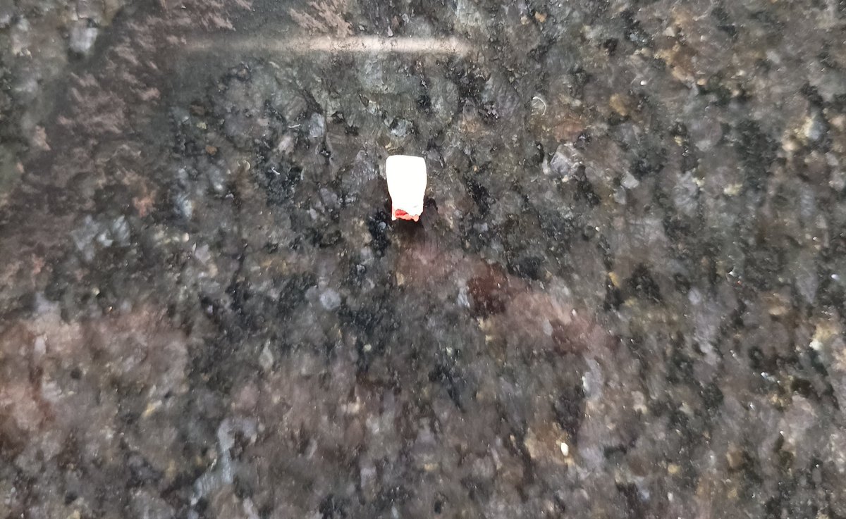ksrjpl's tweet photo. His first teeth fell down!! The lower centre one!!
#quiteajourney #SJ #heisgrowing https://t.co/niQjdOVFZg