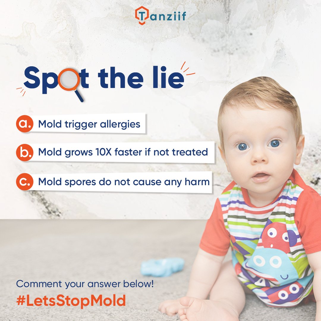 TanziifAE's tweet photo. Spot the lie and drop your answers in the comments below! 👇
.
.
.
.
#LetsStopMold #moldproblems #moldremediation #spotthelie #guessthelie #guessthegibberish #guesstheliegame #tanziifexperts https://t.co/VGDOEc8opM