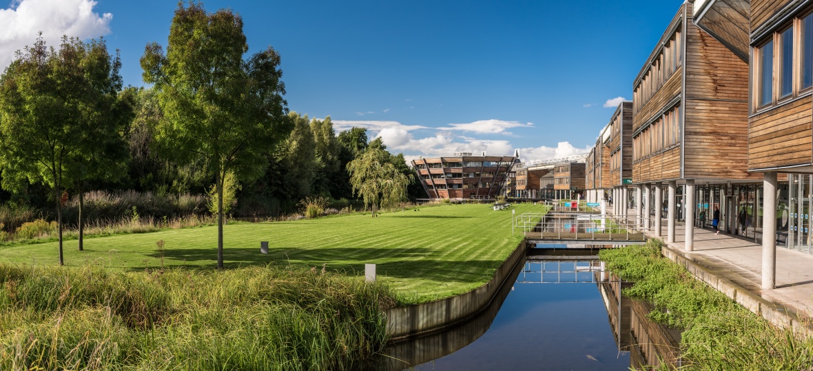 We are delighted to announce that University Park and Jubilee Campus have both been awarded the @GreenFlagAward 🥳

This is the 19th consecutive year UoN has achieved the award!

A big thank you to our grounds staff who continually work to maintain our campuses 🌳🌺🍃
#GFAWinners