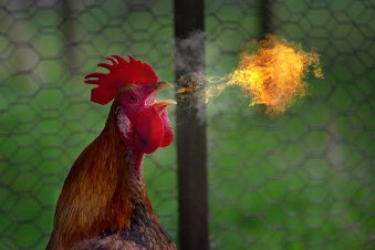 Nhleiks5's tweet image. Not Adv Dali Mpofu calling Sphelo Samuels affidavit a " Spy Novel " 😃😃😃
#ImpeachmentInquiry