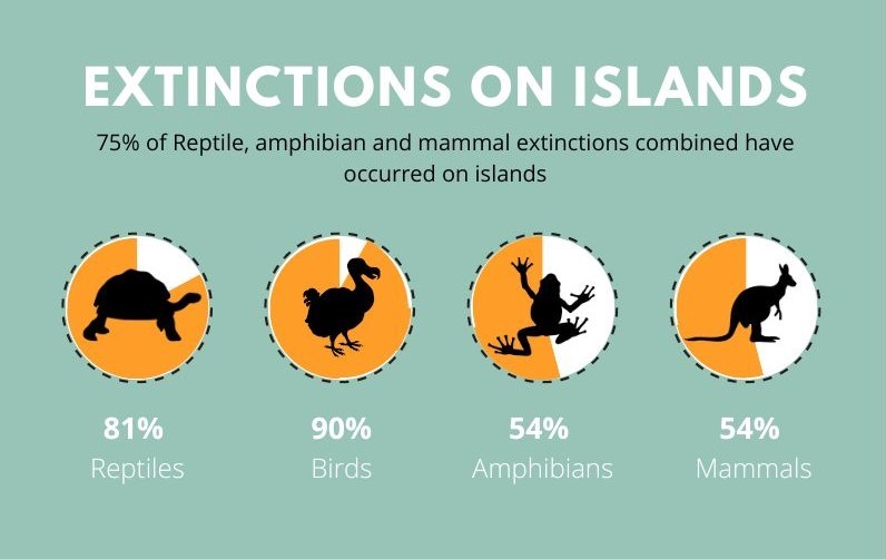 shannonlf24's tweet image. (1/6) 🏝️Island biodiversity is⬇️at an unprecedented rate due to habitat loss, over-exploitation, invasive species &amp;amp; climate change☀️. These human-induced threats have altered ecosystem processes, causing numerous species to go extinct. #DICECON22 #ConEffect