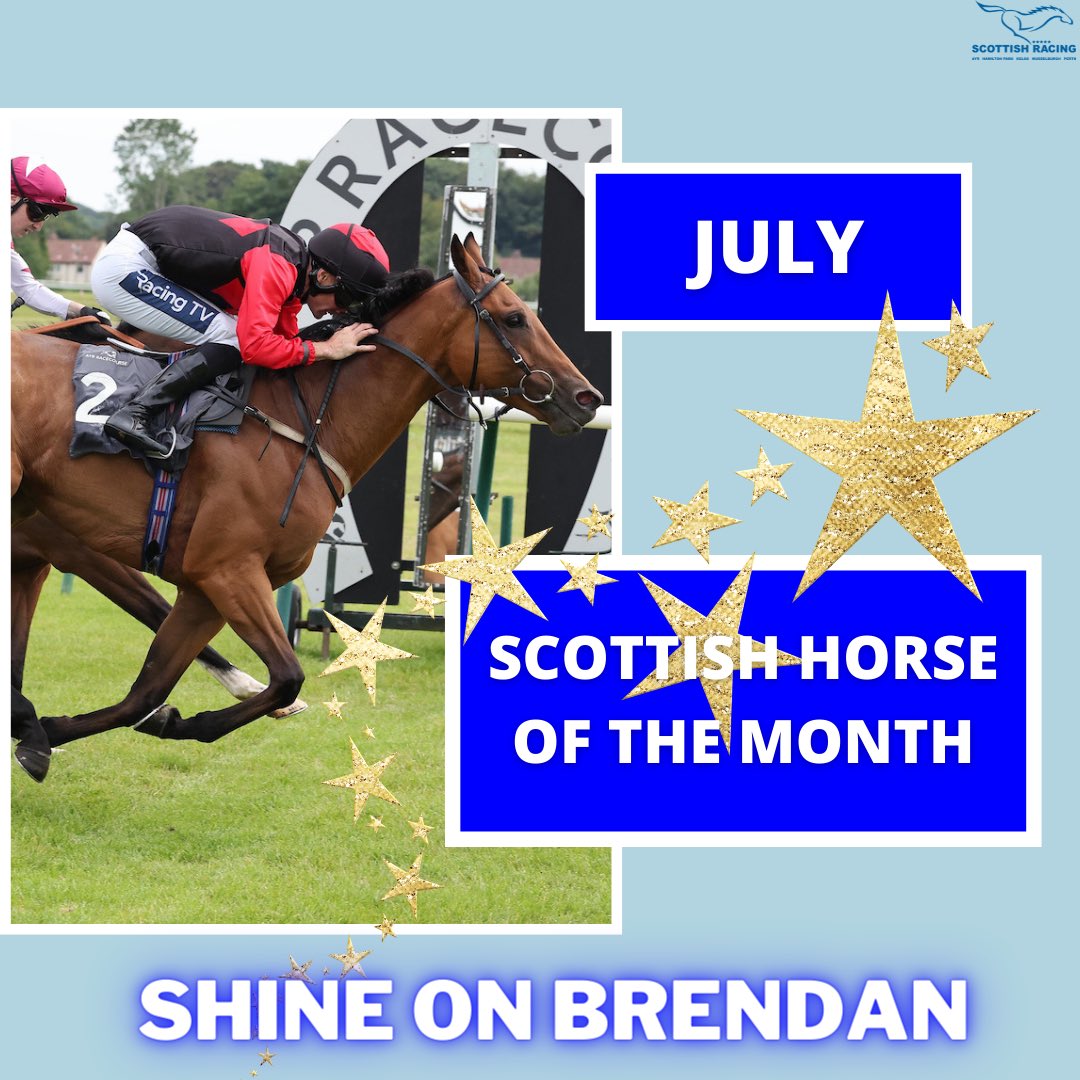 July Scottish horse of the month: Shine On Brendan 🖤❤️ Congratulations to @JimGoldieRacing & team 🎉 Shine On Brendan has been Mr Consistent with 4 wins so far this season! 🥇 A very worthy winner 🌟👏🏻 #scottishhorseofthemonth #lovetheracehorse #scottishracing