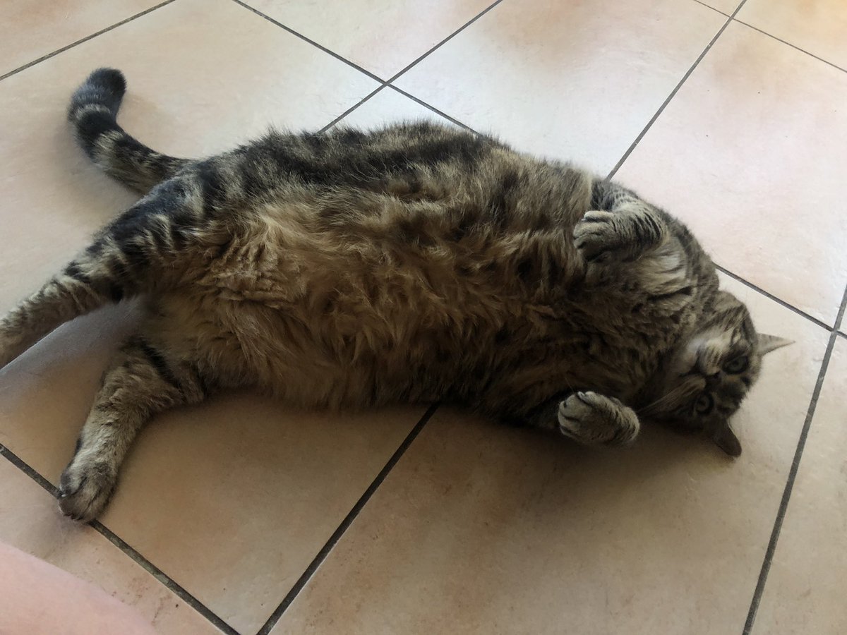 easydooree's tweet photo. @lausteau @jprinceQ arrêtez de me l’envoyer wsh (nan c’est vrai c’est bcp trop drôle regarde ça gueule wsh) https://t.co/6R7YabNjH4