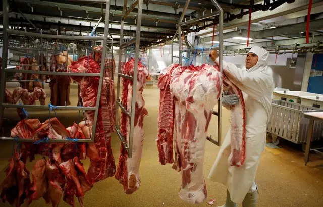 F_Desouche's tweet photo. Bretagne : deux abattoirs exploité par Intermarché stoppent les abattages rituels casher et halal au nom du bien-être animal
https://t.co/Bs4klp7eYl https://t.co/16dZFAubzG