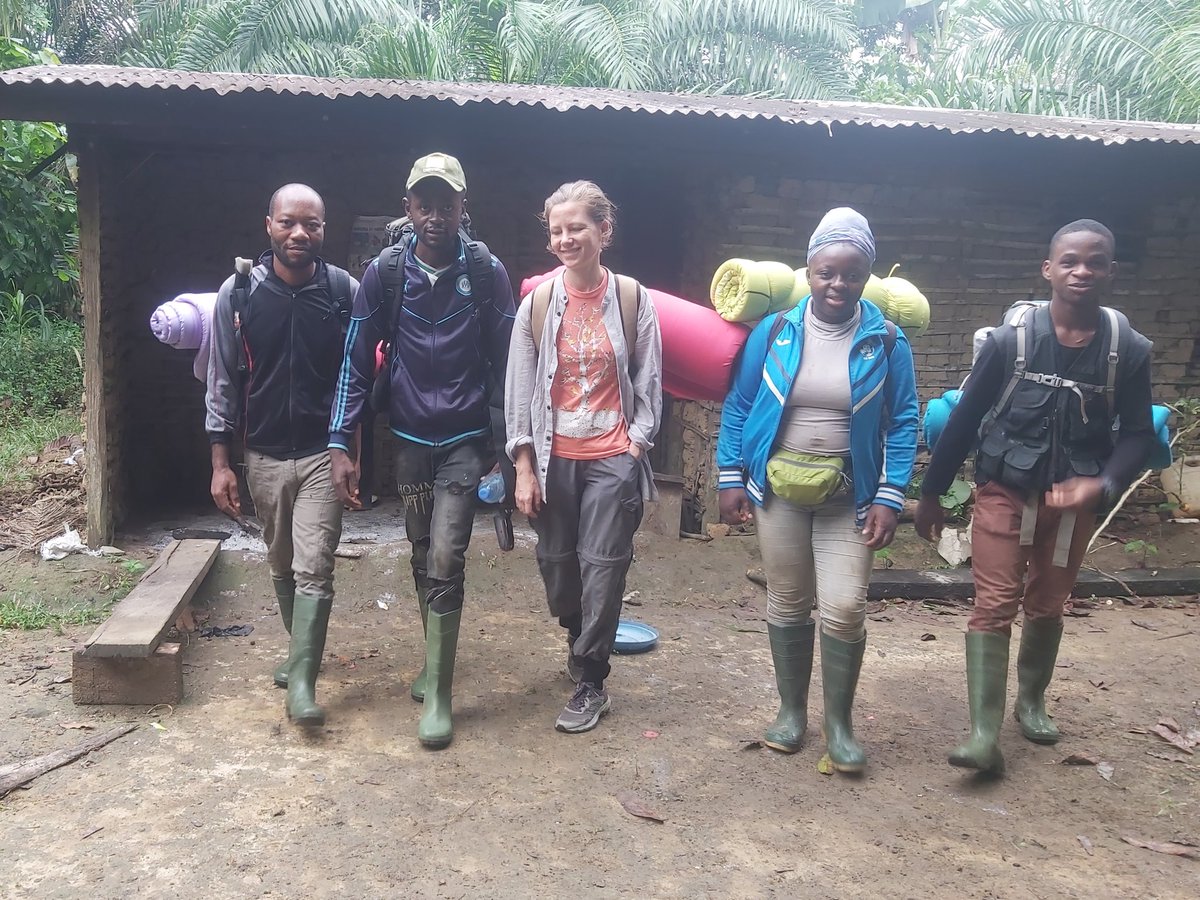 ndanjong marcel arnol tweet media