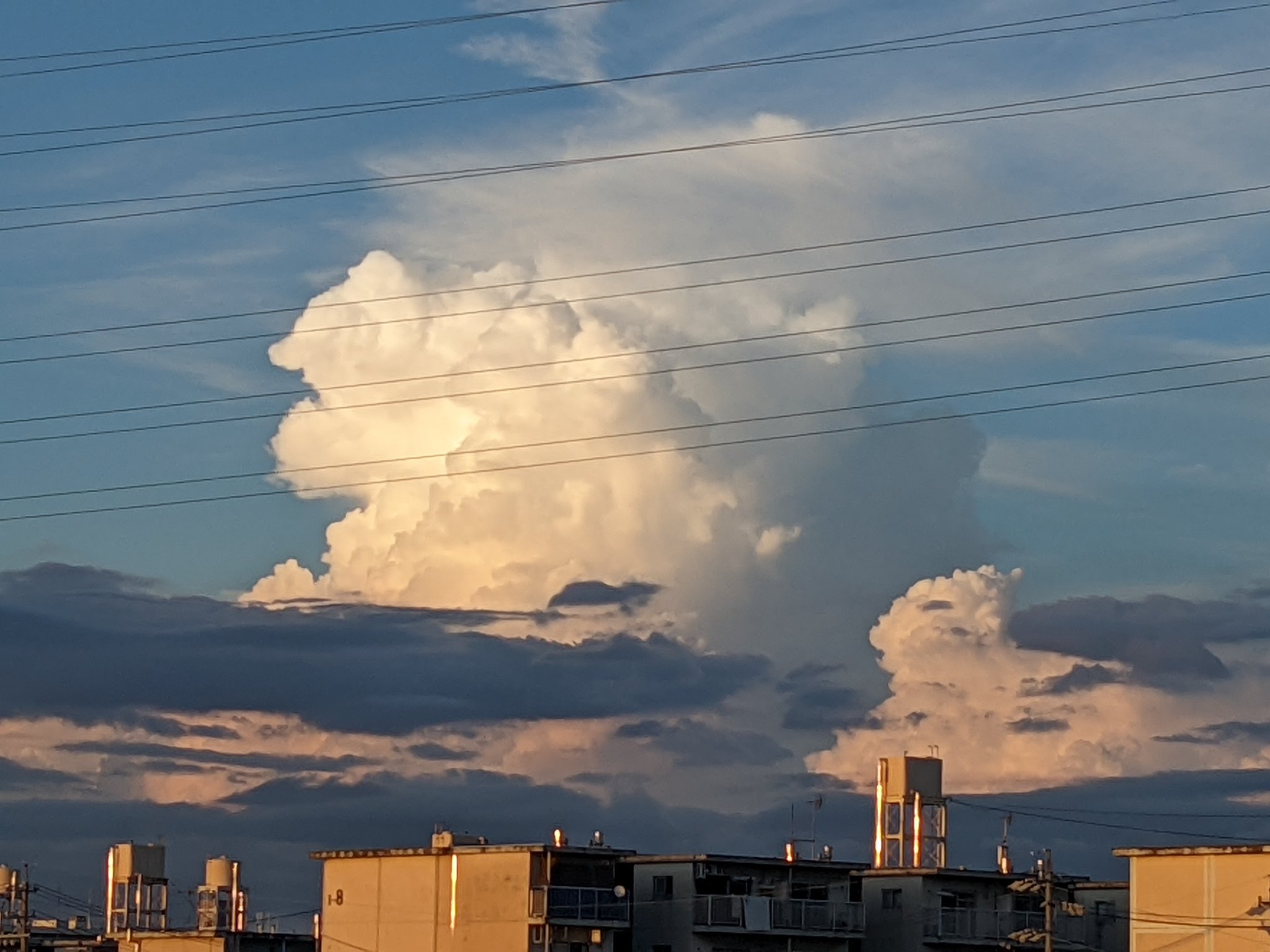 うらさとなるみ ラピュタ雲 ラピュタ雲 T Co T6odq2yc4m Twitter