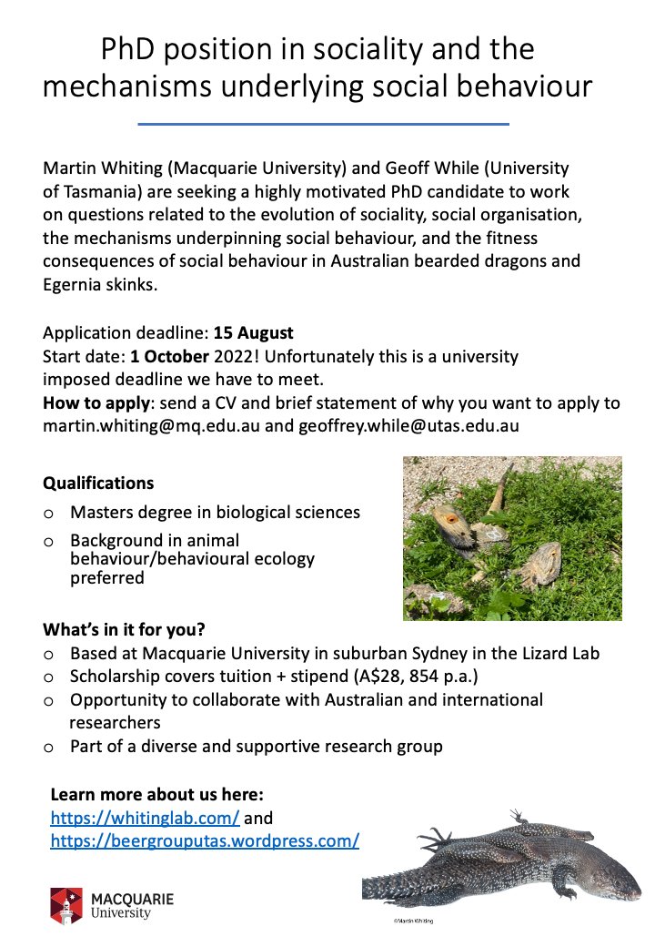 The Lizard Lab (@lizard_lab) / Twitter The Lizard Lab (@lizard_lab) / Twitter