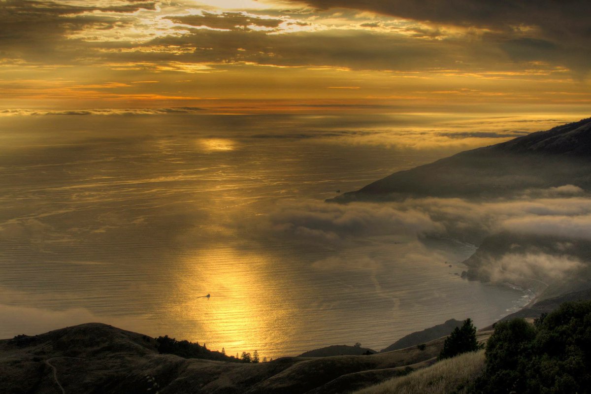 robdeez.eth tweet media